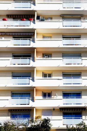 blancarde janvier 2022 025 blancarde janvier 2022 025