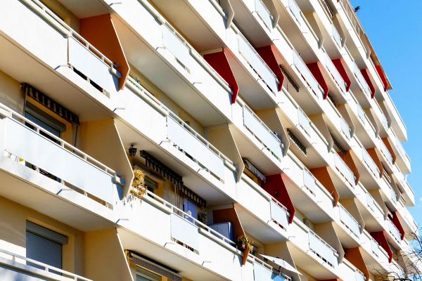 blancarde janvier 2022 027 blancarde janvier 2022 027